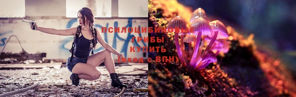 молекула духа Ветлуга