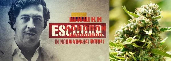 mix Рославль