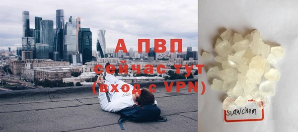 дживик Весьегонск