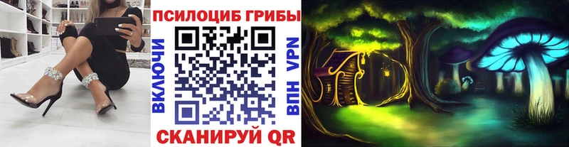 Псилоцибиновые грибы Psilocybine cubensis  Вязьма 