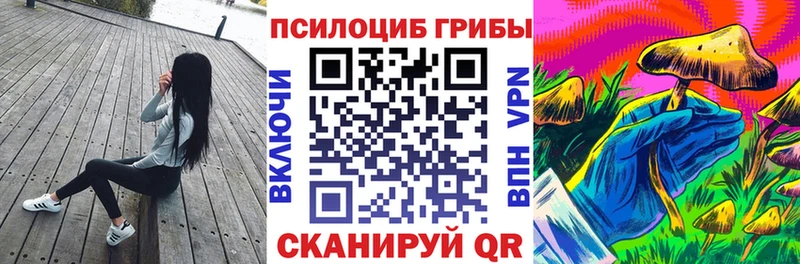 Псилоцибиновые грибы мицелий Вязьма