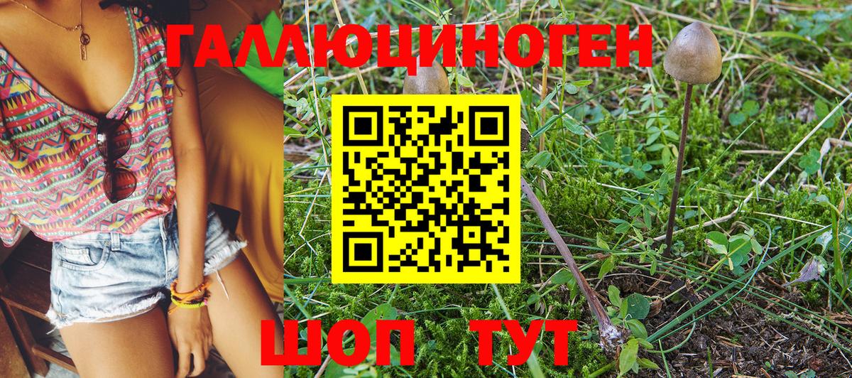 Псилоцибиновые грибы MAGIC MUSHROOMS  закладки  Вязьма  Псилоцибиновые грибы MAGIC MUSHROOMS 